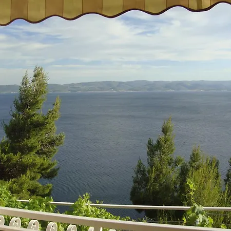 Derek Guest house